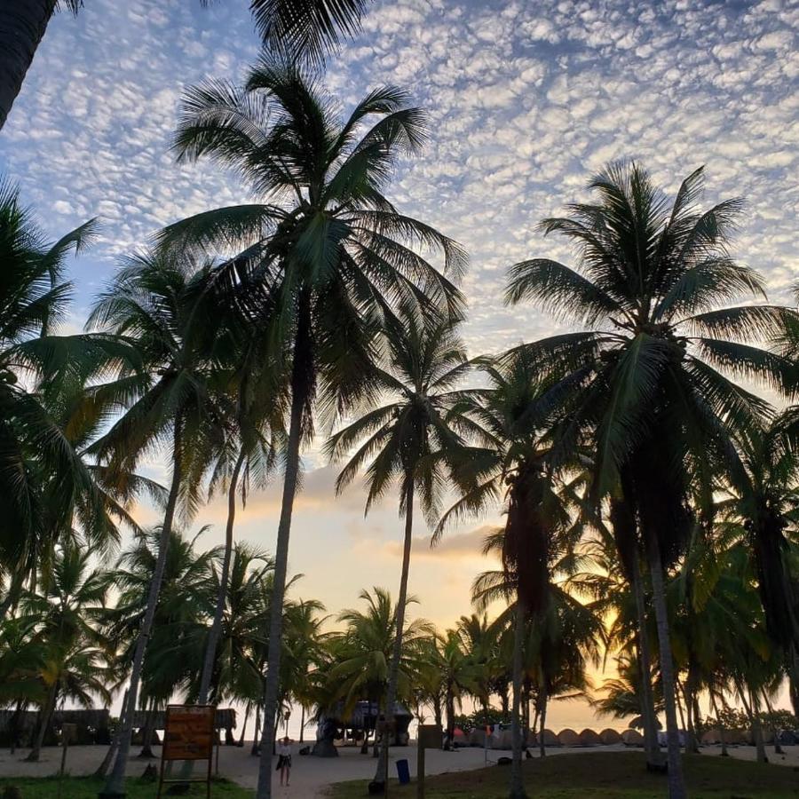 Bed and Breakfast Camping Castilletes Parque Tayrona Эль-Саино Экстерьер фото