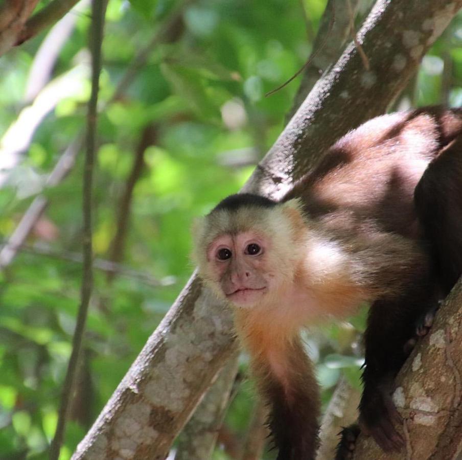 Bed and Breakfast Camping Castilletes Parque Tayrona Эль-Саино Экстерьер фото
