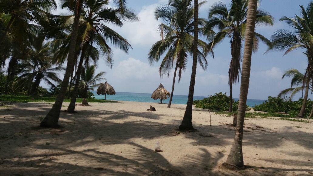 Bed and Breakfast Camping Castilletes Parque Tayrona Эль-Саино Экстерьер фото