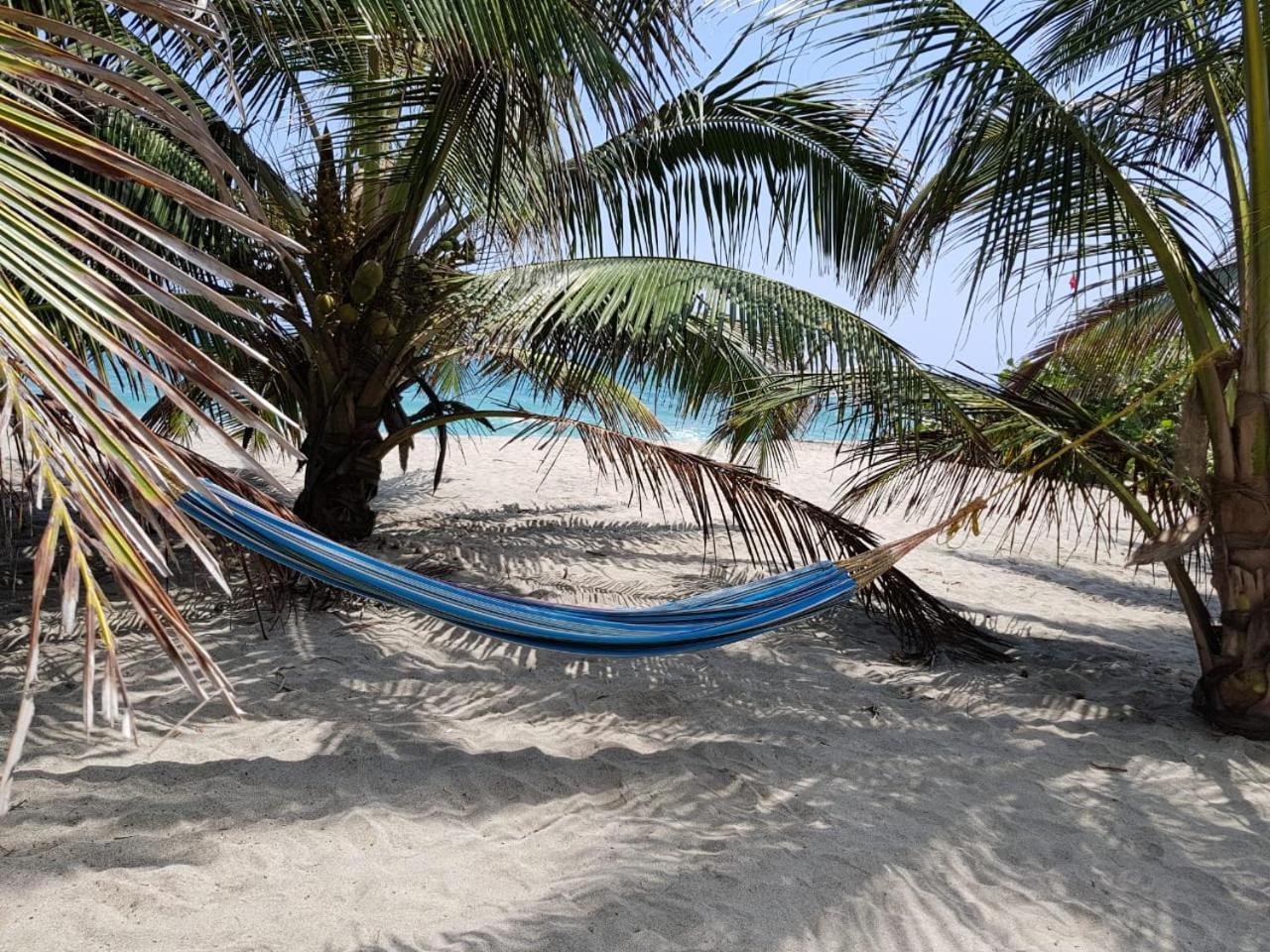 Bed and Breakfast Camping Castilletes Parque Tayrona Эль-Саино Экстерьер фото